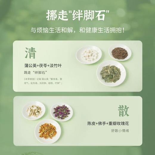 【甄选】蒲公英佛手茶真材实料科学配比清新回甘70g（7g*10袋）*2盒 商品图1