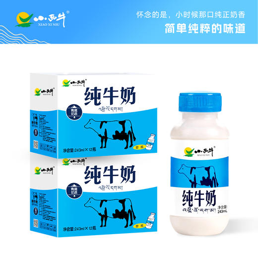 【光明&小西牛】青海纯牛奶 高原特色瓶装牛奶243ml*12瓶/2箱装 商品图0