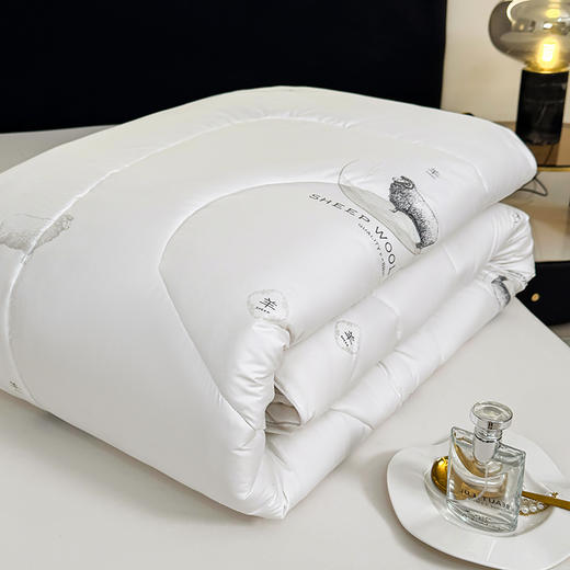 保罗大卫 鄂尔多斯绵柔优质羊毛被180*200cm 商品图7