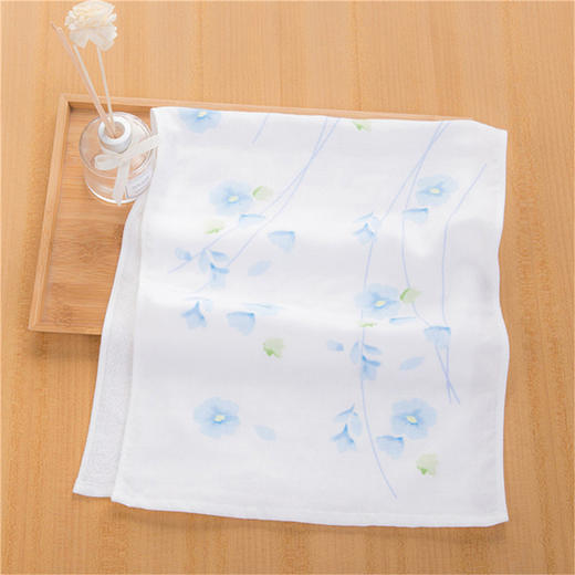 内野TG 古系列之森野单条装 商品图2