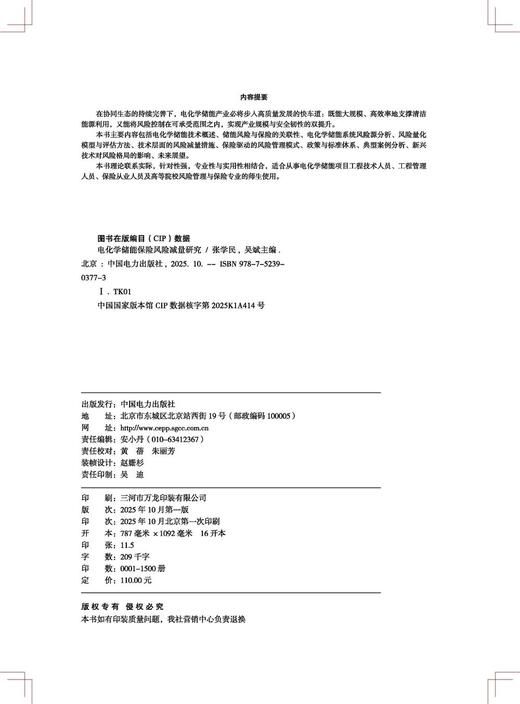 电化学储能保险风险减量研究 商品图1