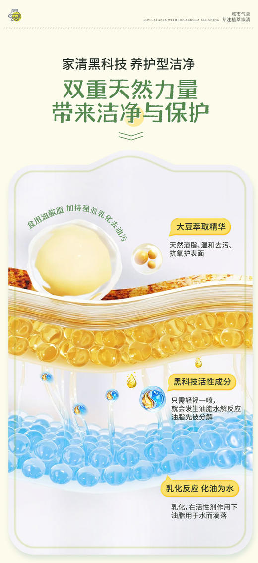 大豆精粹强效溶油净 商品图3