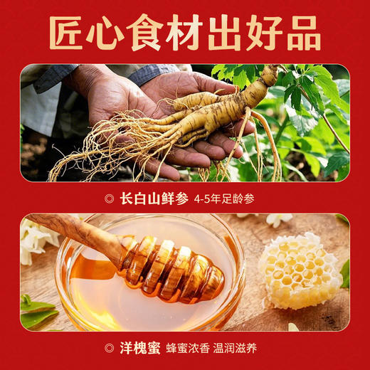 坤宁和堂鲜参蜜片65克/罐长白山4-5年园参切片蜜渍送礼送长辈送领导 商品图3