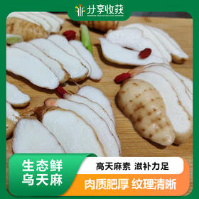 生态鲜乌天麻 | 下单三天左右发货 | 基地直发* Ecological fresh Gastrodia elata