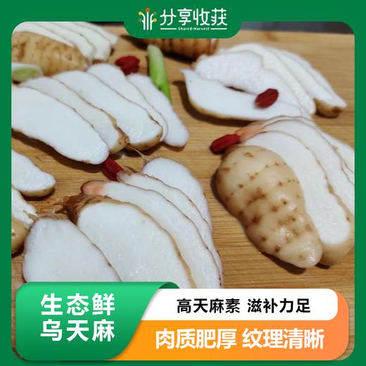 生态鲜乌天麻 | 下单三天左右发货 | 基地直发* Ecological fresh Gastrodia elata 商品图0