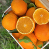 老树高山果品质爱媛38号果冻橙 5斤/8斤装  （8甜2酸） 商品缩略图3