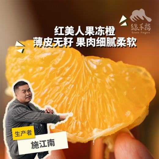 生态红美人 | 合作生产*Ecological Citrus reticulata 'Hong Mei Ren'| Partner Production 商品图0