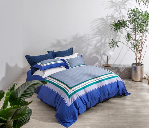 恐龙 哈伊特 100S匹马棉四件套 商品图0