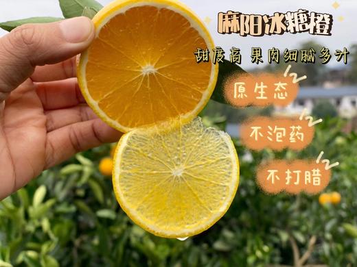 【麻阳冰糖橙】✔️🍊麻阳冰糖橙也叫“冰糖泡”，因甜似冰糖而得名，因其自然生长高山，成熟的橙子表皮带点“麻”点和花皮。-TTSG 商品图8