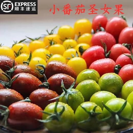【皮薄肉厚】三色小番茄 3斤(±2两)  酸甜多汁坏果包赔 商品图3