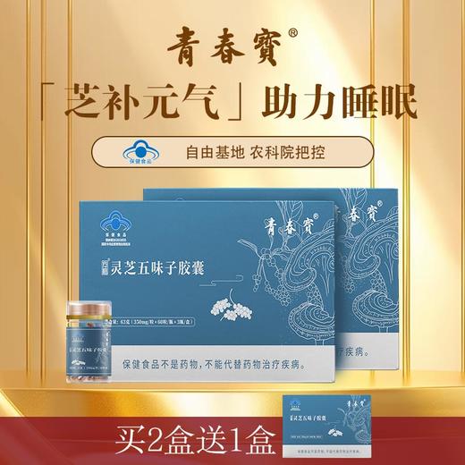 青春宝灵芝五味子胶囊改善睡眠失眠助眠保健食品 商品图1