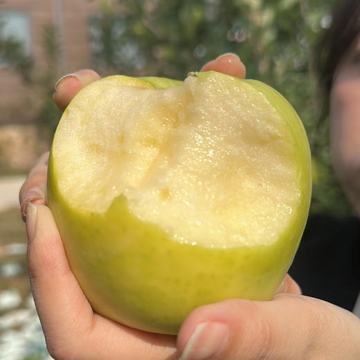 陕西瑞雪苹果，果肉细嫩，脆爽多汁，一款基本纯甜的苹果，苹果中的爱马仕！ 商品图7