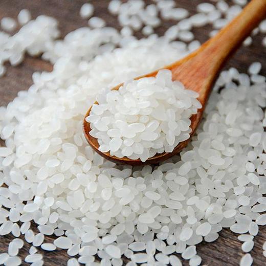 【中粮五湖优选东北大米5KG】米饭软糯 清甜可口 商品图4