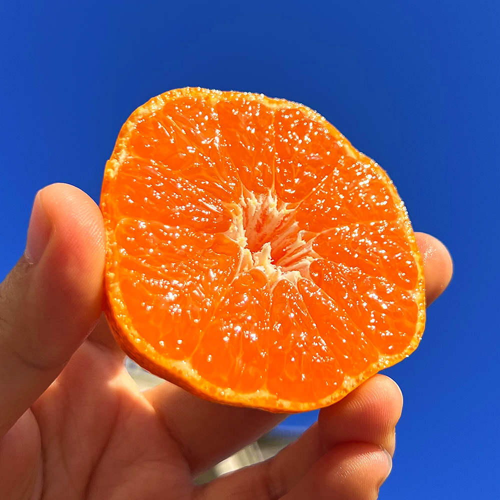 『正宗临海涌泉蜜桔』皮薄肉嫩，汁多化渣，甜蜜细腻，色泽亮丽