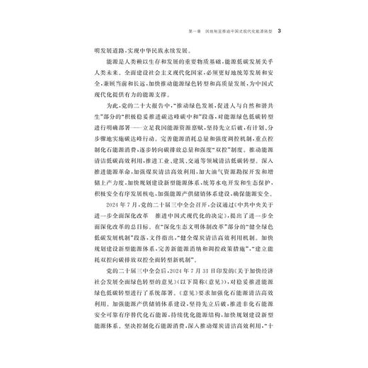 中国式现代化能源转型典型路径/华北电力大学哲学社会科学繁荣计划专项/哲学社会科学文库/王鹏 刘洪涛 赵云灏 李阳 著/浙江大学出版社 商品图3