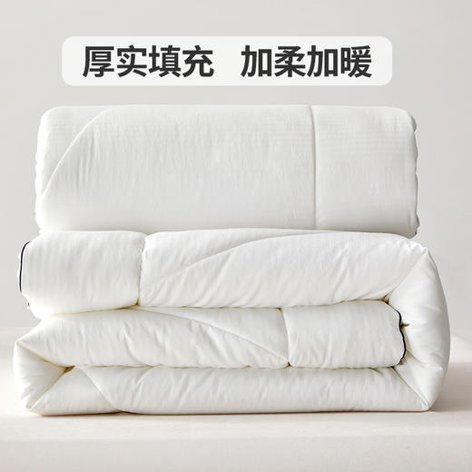 多喜爱 甄芯舒柔抗菌十孔春秋被/冬被/（拉链款）子母被系列hl【十孔纤维】【抗菌纤维】【提花磨绒】【织带工艺】蓬松温暖 柔软细腻 多款厚度 立高工艺 商品图3