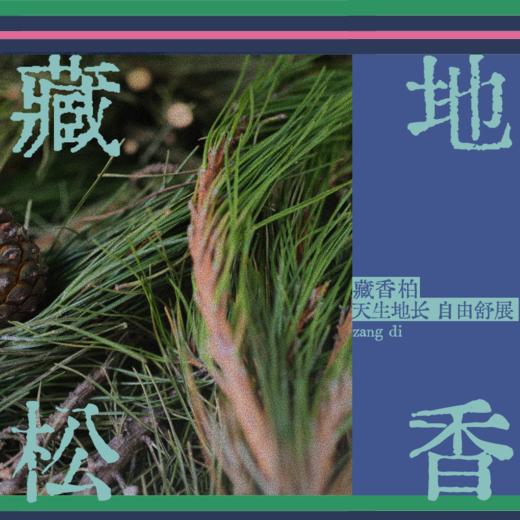 【真不二💗Jolie罗晓韵联名】深山奥秘藏地系列香囊2025新品 商品图3