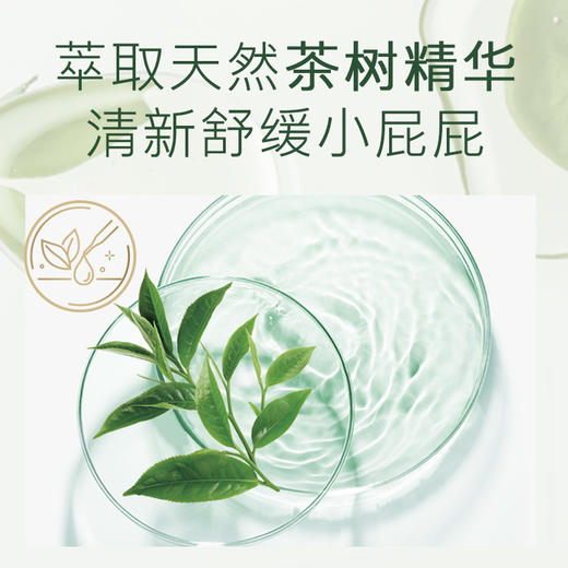 好奇森林蜜语系列尿不湿 商品图2