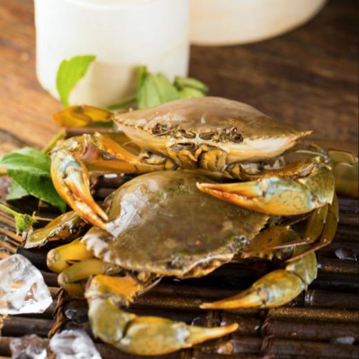 有机全油黄油蟹 3两/只 商品图1