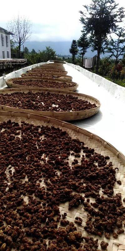 【273项农残O检出】【九制熟黄精】丽江雪山野生滇黄精 古法柴火九蒸九晒  即食 泡水 煲汤 商品图1