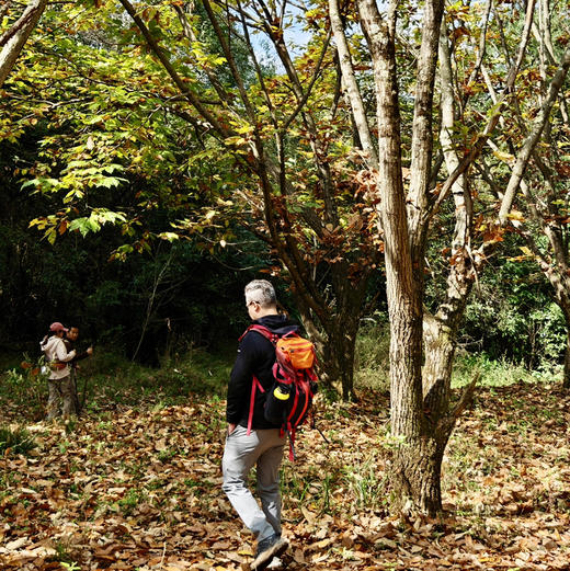 成人特惠 | 12.27周六马刺沟穿越甸尾村徒步，赏壮观红杉林，穿越昆明周边苔藓原始森林丰富景观！ 商品图5