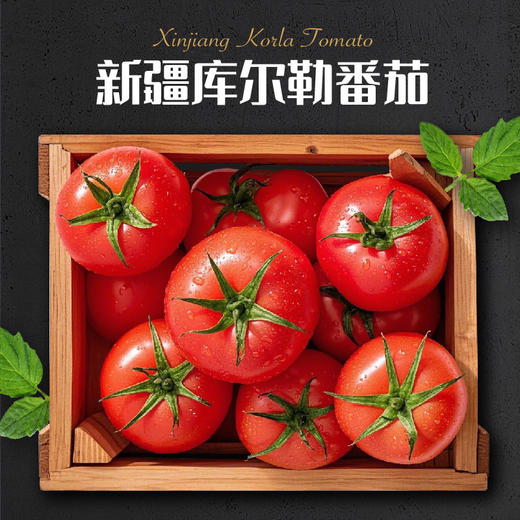 怡芽 komos速煮意面（番茄肉酱）260g 3盒装/10盒装 商品图5