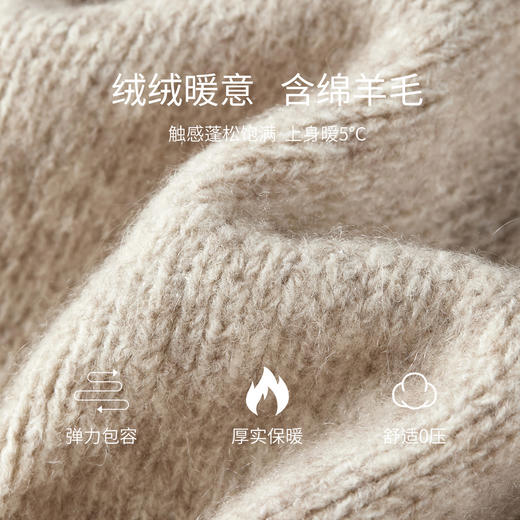 【内购】【蒲公英珠绣】时尚洋气圆领宽松落肩显瘦含绵羊毛软糯弹力厚毛衣-W54EE3854 商品图4