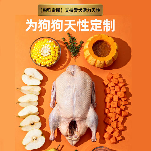 冒险与它全价多拼狗粮2.5kg 牛肉粒+鸡肉松 通用型 改善挑嘴 商品图2