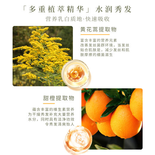 【中欧班列精选】MAT LEE蜜梨青蒿氨基酸奢养发膜200g/瓶 商品图2