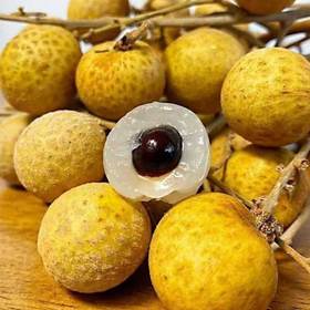 泰国鲜龙眼 饱满肉厚 无渣甜润 进口应季鲜果