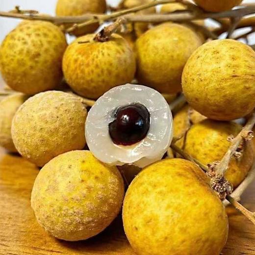 泰国鲜龙眼 饱满肉厚 无渣甜润 进口应季鲜果 商品图0