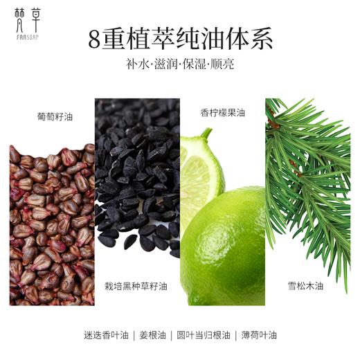 梵草头皮精华油 商品图2