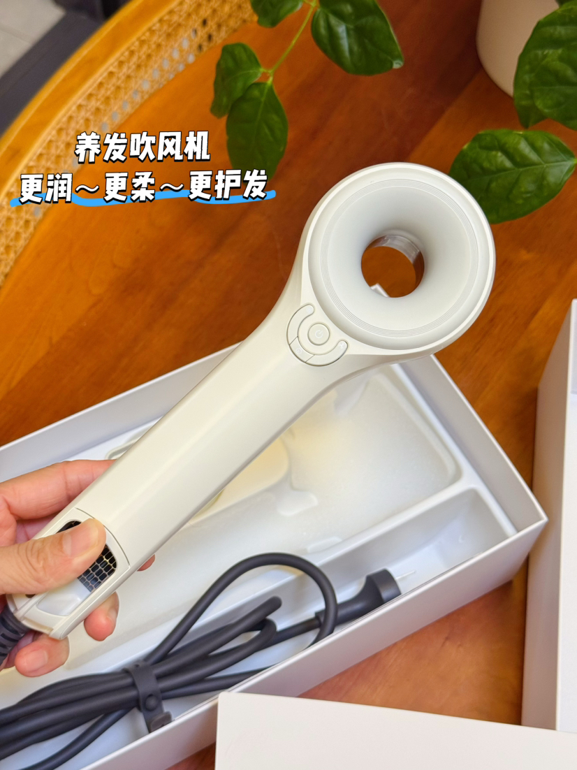 【护发养发吹风机 20亿水光离子养护】出口品质 等离子家用吹风机 温度更低 风压更大 干发快 不伤发 精油嘴养护秀发