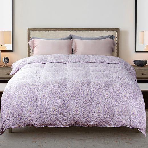 西川国产白鹅绒空调被 商品图1