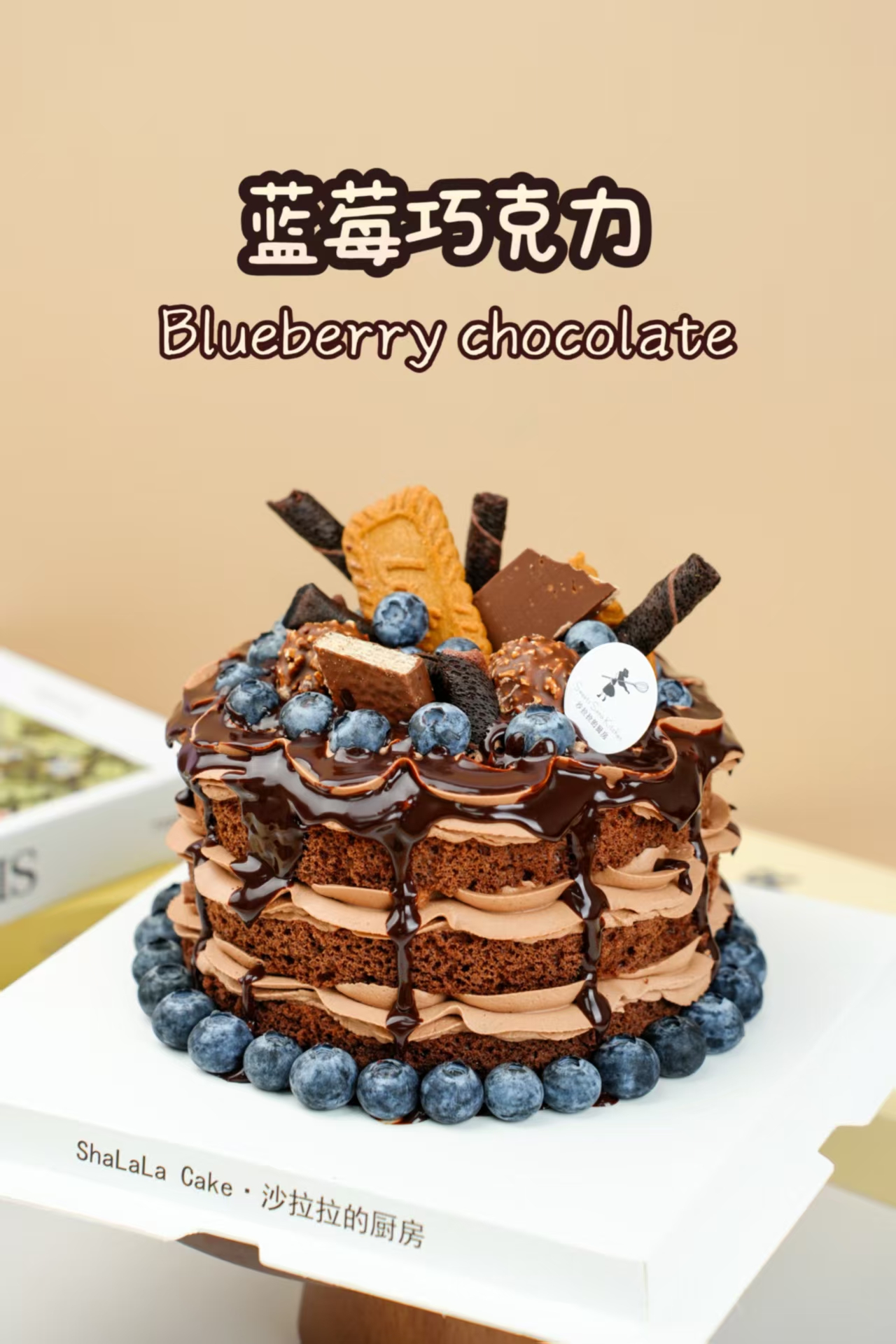 蓝莓巧克力