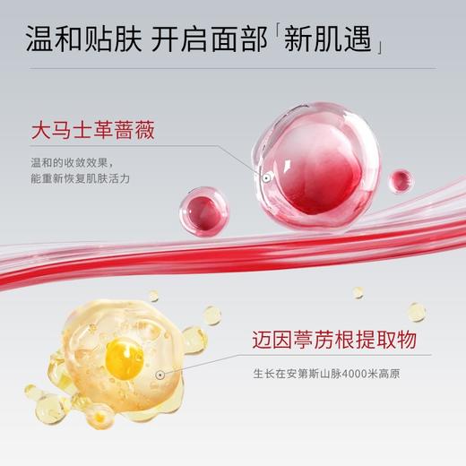 【保税仓】MUZIGAEMANSION气垫（一正一替） 商品图3