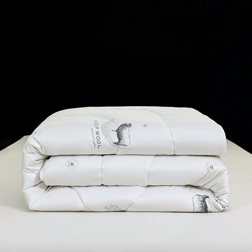 保罗大卫 鄂尔多斯绵柔优质羊毛被180*200cm 商品图6