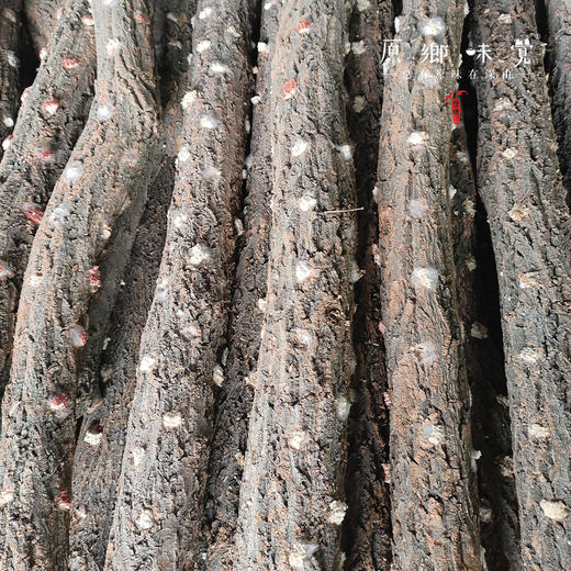 小空山有机段木香菇（基地直发-中通包邮）|1斤、2斤装，来自河南南召，生产者：李鹏【合作生产，公平贸易】 商品图4