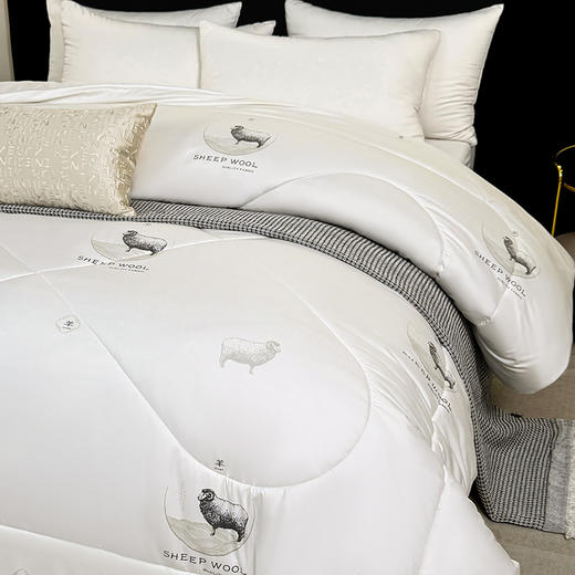 保罗大卫 鄂尔多斯绵柔优质羊毛被180*200cm 商品图4