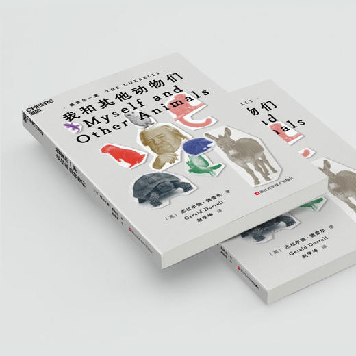 【9-15岁】德雷尔一家·我和其他动物们  豆瓣9.1分自然文学《德雷尔一家》续篇 商品图4