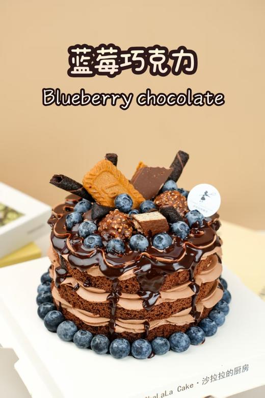 蓝莓巧克力 商品图5