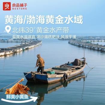 良品铺子 烧烤小黄鱼100g 即食海鲜小吃小鱼仔小鱼干零食独立包装 商品图2