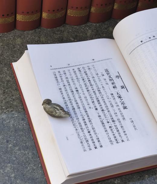 重磅！！《新民丛报》，精装，16开，全14册，梁启超主编，中华书局2008年一版一印，13380页，定价4800，售价：1680元 商品图11