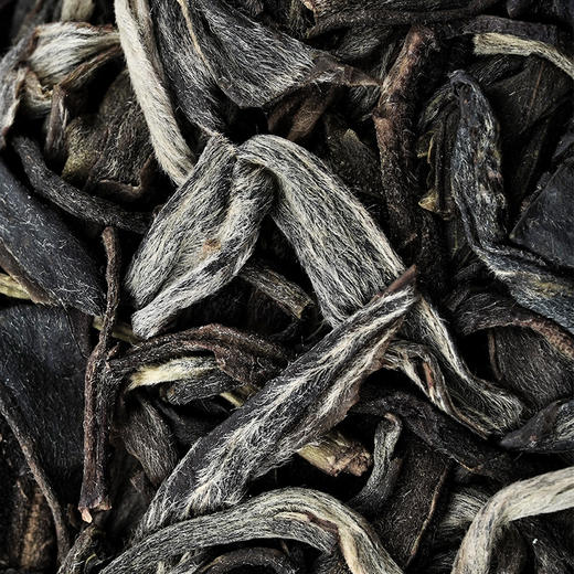 11月20日中午12点【班章王单株】【蕞后一年分享】2025年春茶勐海茶区班章王巧合之约绝佳品质，100克/饼 商品图3