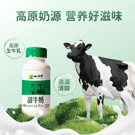 【光明&小西牛】青海甜牛奶 高原甜牛奶儿童学生成人甜牛奶243mlx12瓶/箱 商品图2