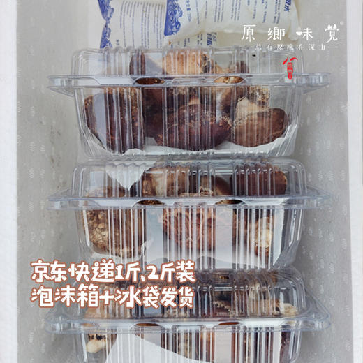 小空山有机段木香菇（基地直发-中通包邮）|1斤、2斤装，来自河南南召，生产者：李鹏【合作生产，公平贸易】 商品图3