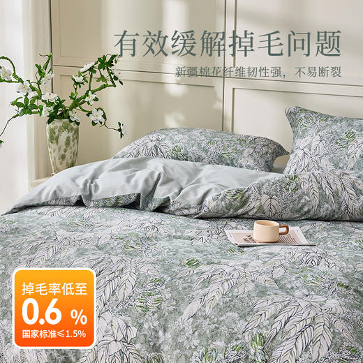 多喜爱 全棉磨毛套件【100%全棉加厚磨毛】【进口磨毛技术】【保暖不易掉毛】叶韵悠眠 商品图4