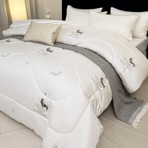 保罗大卫 鄂尔多斯绵柔优质羊毛被180*200cm 商品图3