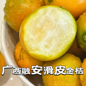 【融安滑皮金桔】不打农药 不催熟 产地直发 甜脆爽口