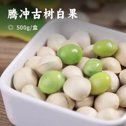 腾冲古树白果 | 2025年新鲜古树白果 每年限量一次的馈赠 清甜香糯 果型饱满 吃法多样 好地产好果 云南腾冲特有品种 商品图0